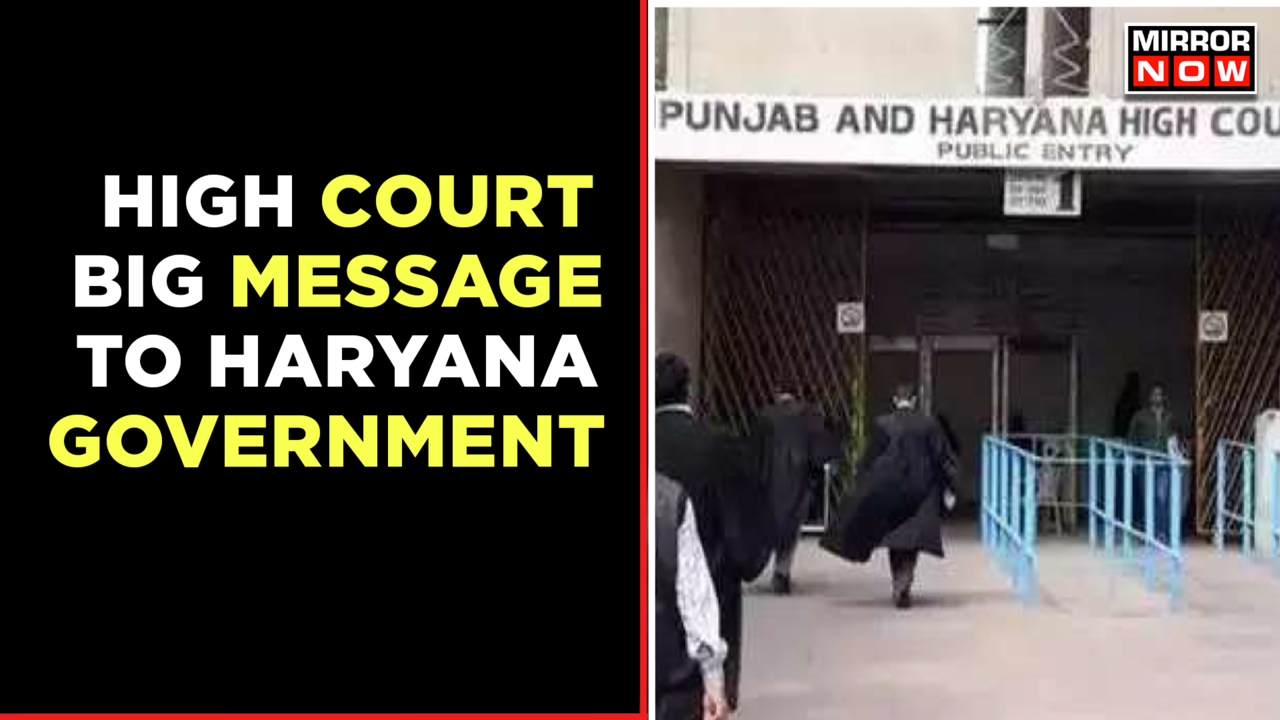 The High Court Of Punjab And Haryana Has Issued A Ruling In Favour Of ...