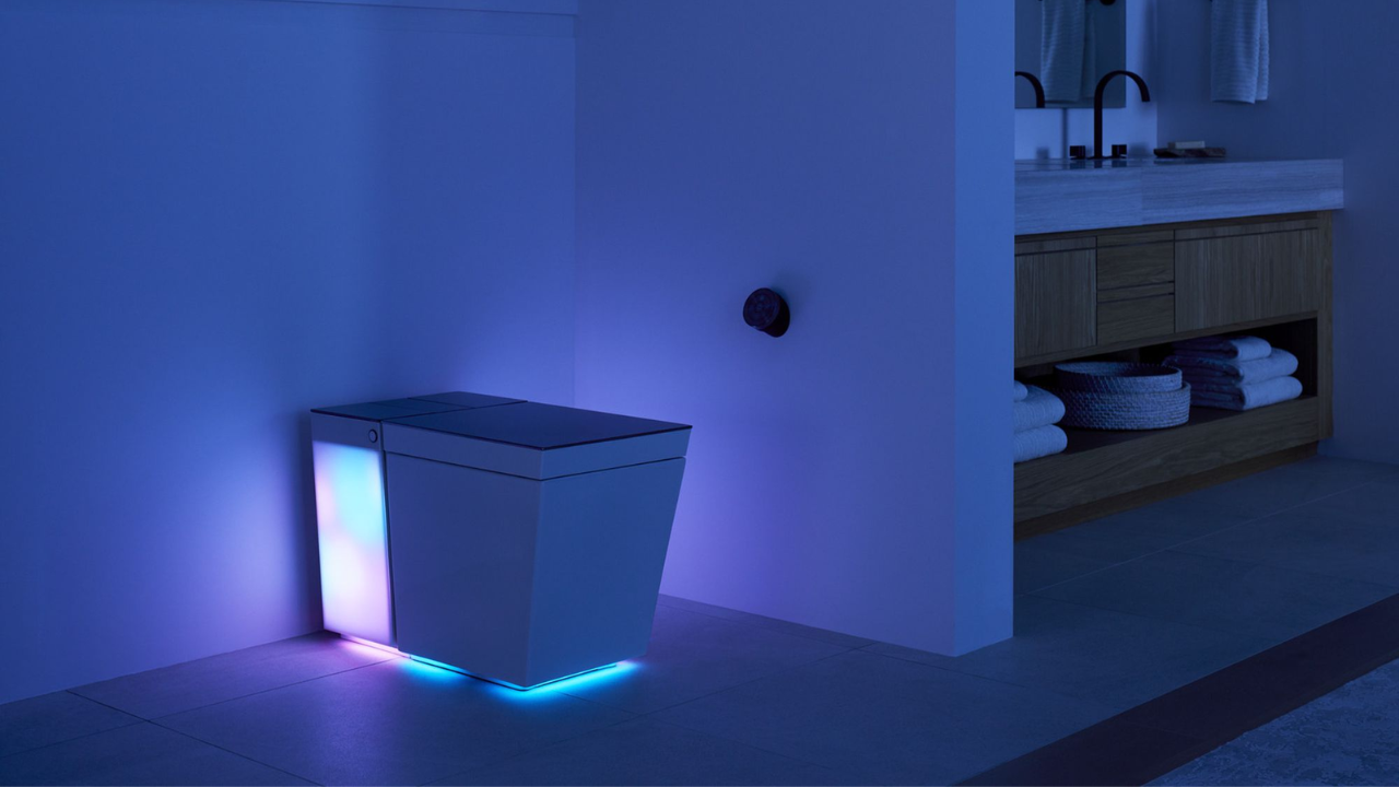 Do you need a toilet light? Yes. - Reviewed