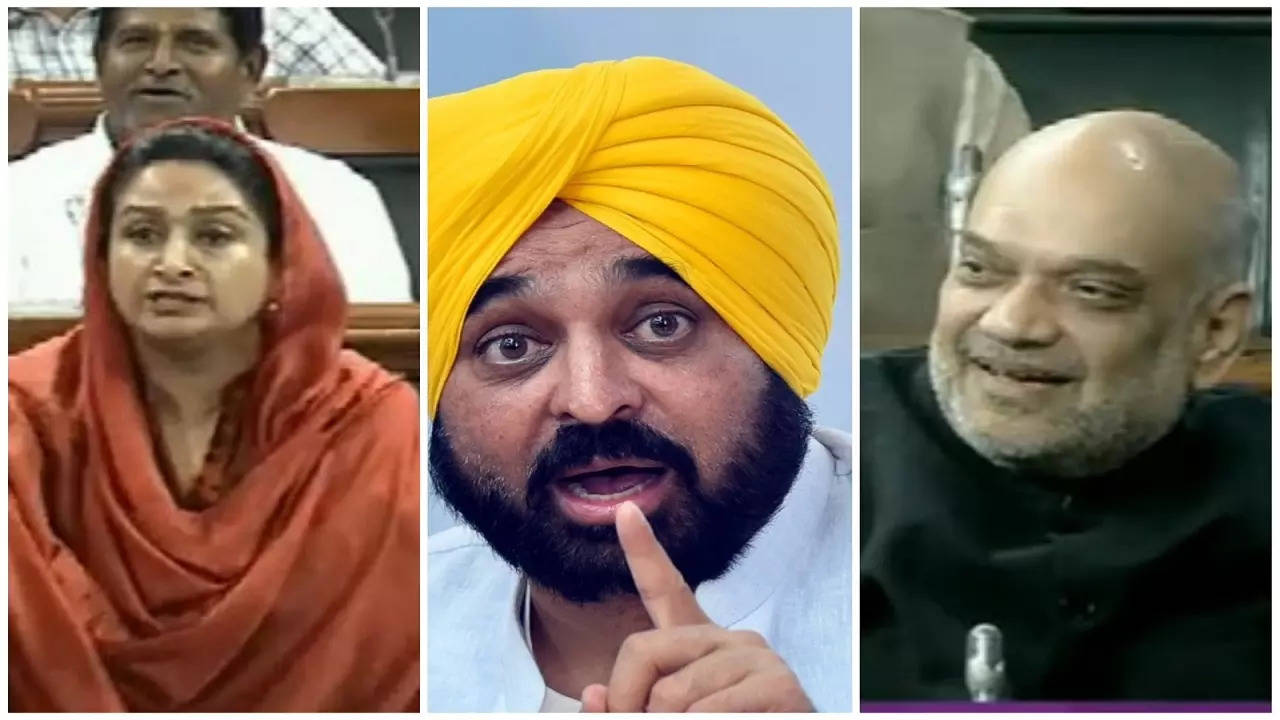 'Bhagwant Mann is drinking & driving Punjab': Harsimrat Badal takes a ...