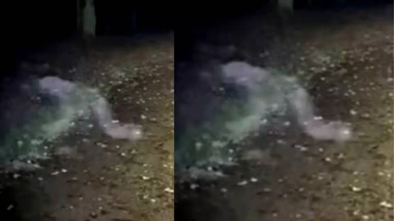 Ghost at UK park