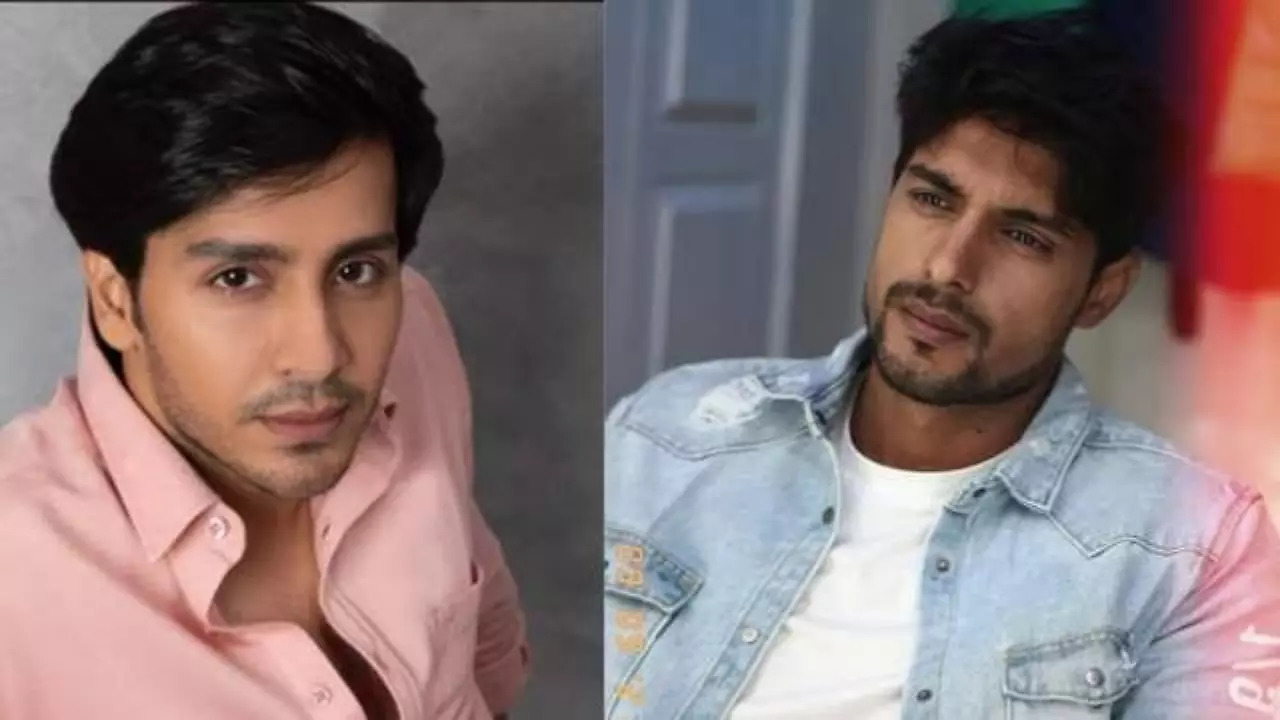 Bigg Boss 16 EXCLUSIVE! ‘I love Ankit Gupta for being his unfiltered ...