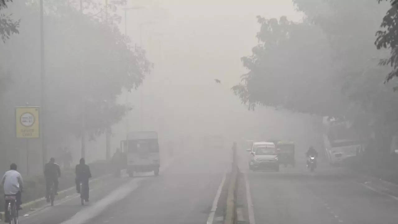 Dry but foggy weather on the cards for 2 days in Chandigarh