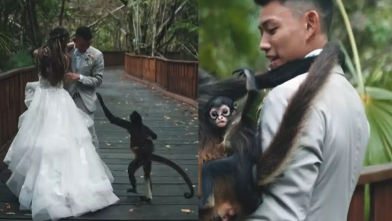 Bride and groom with the monkeys