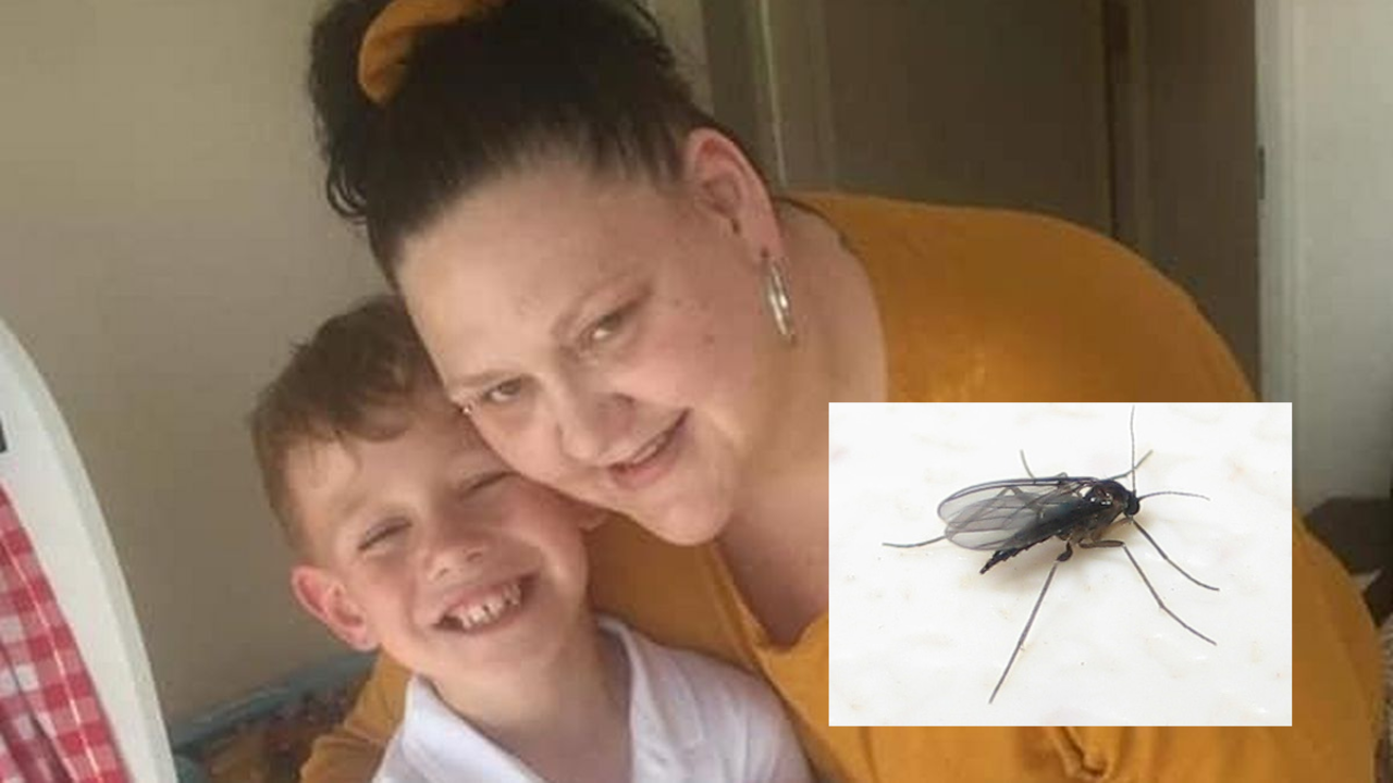 A gnat bite almost ended this mum's life