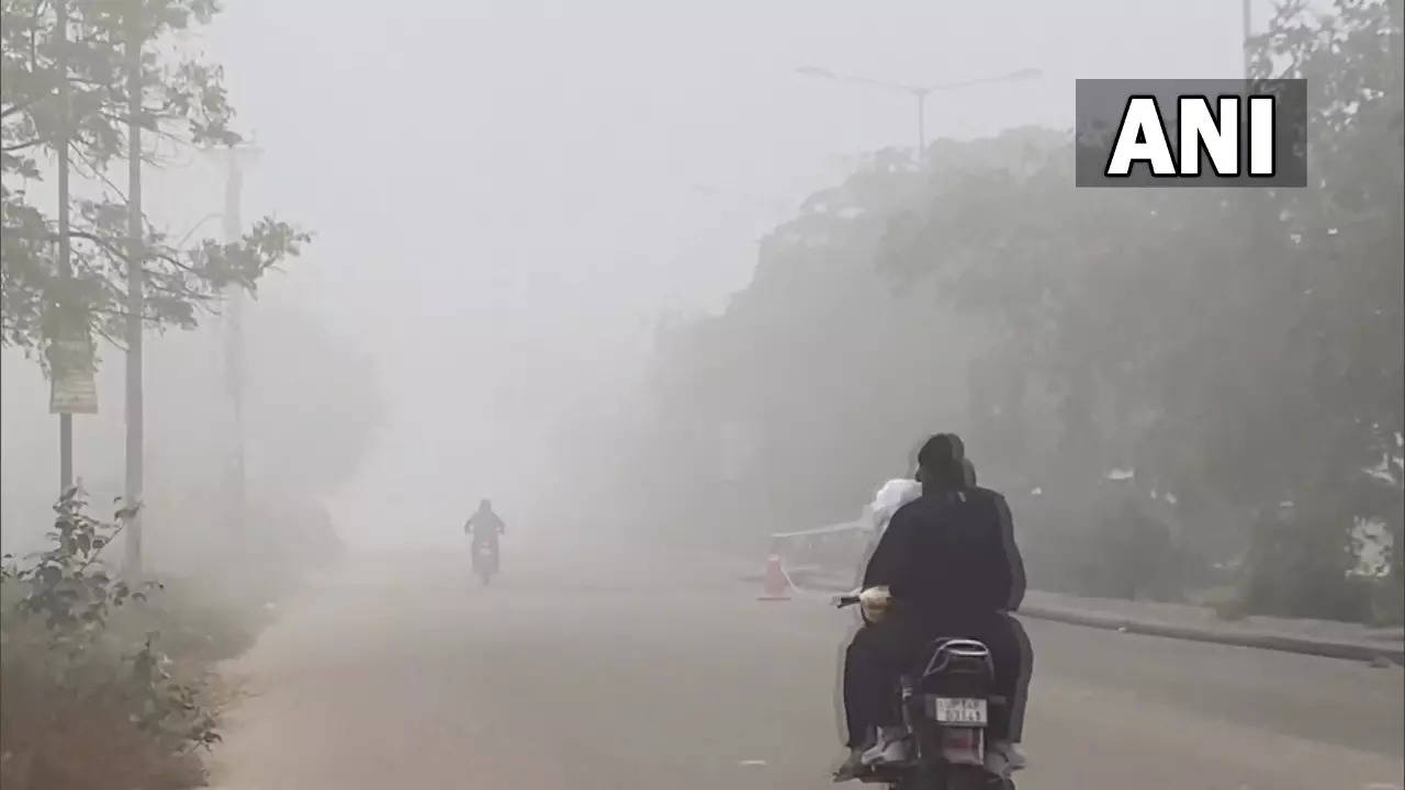 Cold wave: Delhi-NCR witnesses biting chill as mercury dips to 5°C, fog engulfs most parts of North India