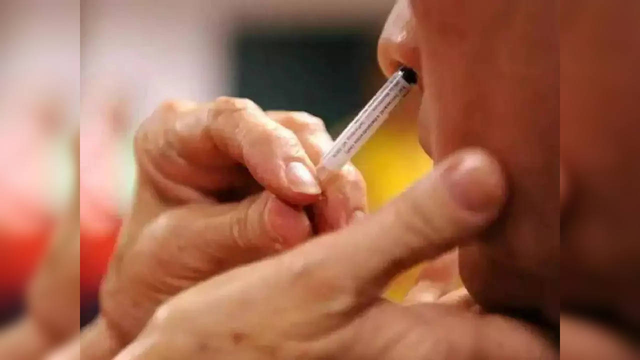 Nasal Vaccine Price: नाकावाटे देण्यात येणाऱ्या भारत बायोटेकच्या कोरोना प्रतिबंधक लसीची किंमत ठरली, जाणून घ्या काय असेल दर