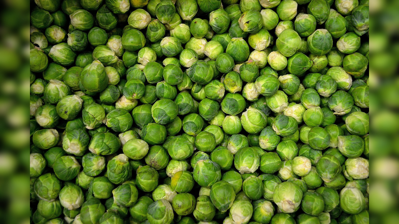 Brussels sprouts, as per many health bodies, are deemed effective for breast cancer prevention as they assist the body in excreting estrogen and other hormones that save the body from the deadly disease. (Photo credit: Pexels)