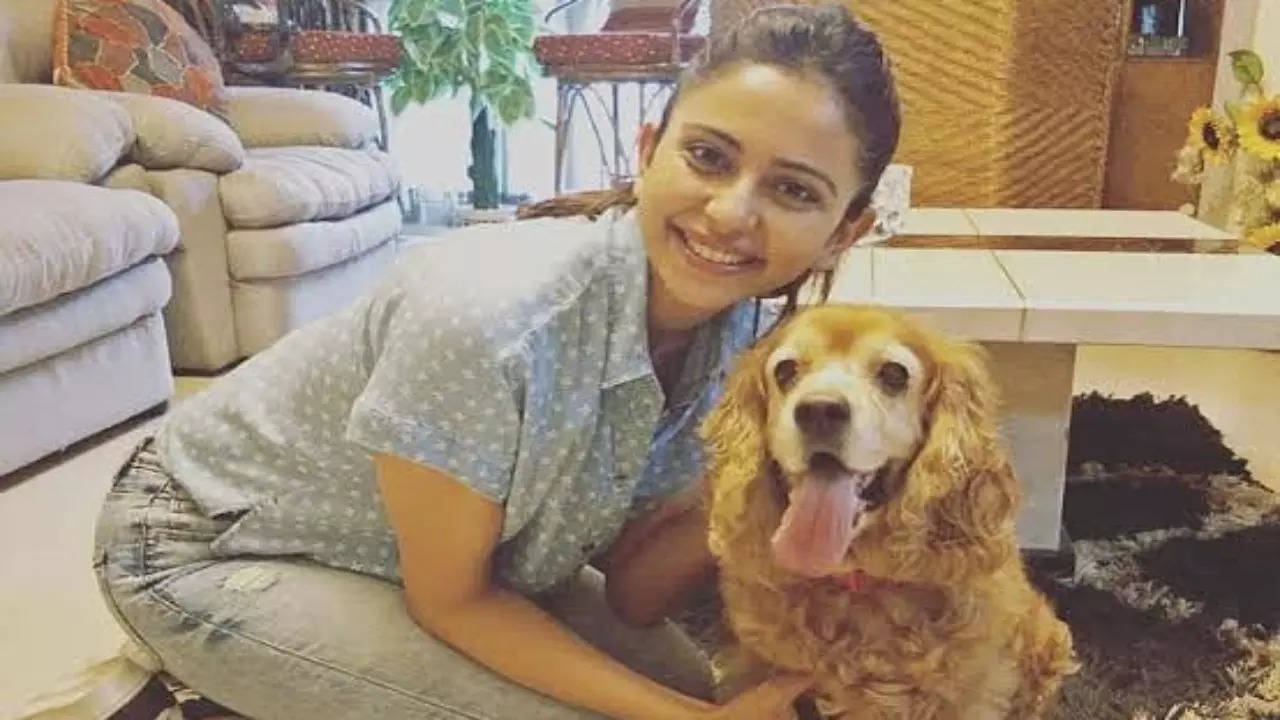 Rakul Preet Singh mourns demise of her pet dog Blossom: Came into our lives 16 years back, blossomed us with love