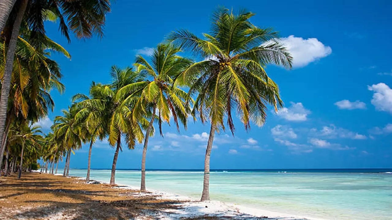 istockphoto-lakshadweep