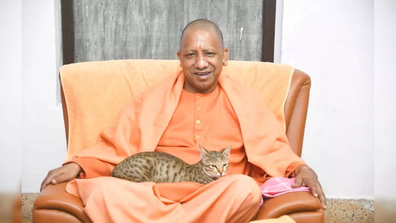 Yogi Adityanath goes viral on last day of 2022