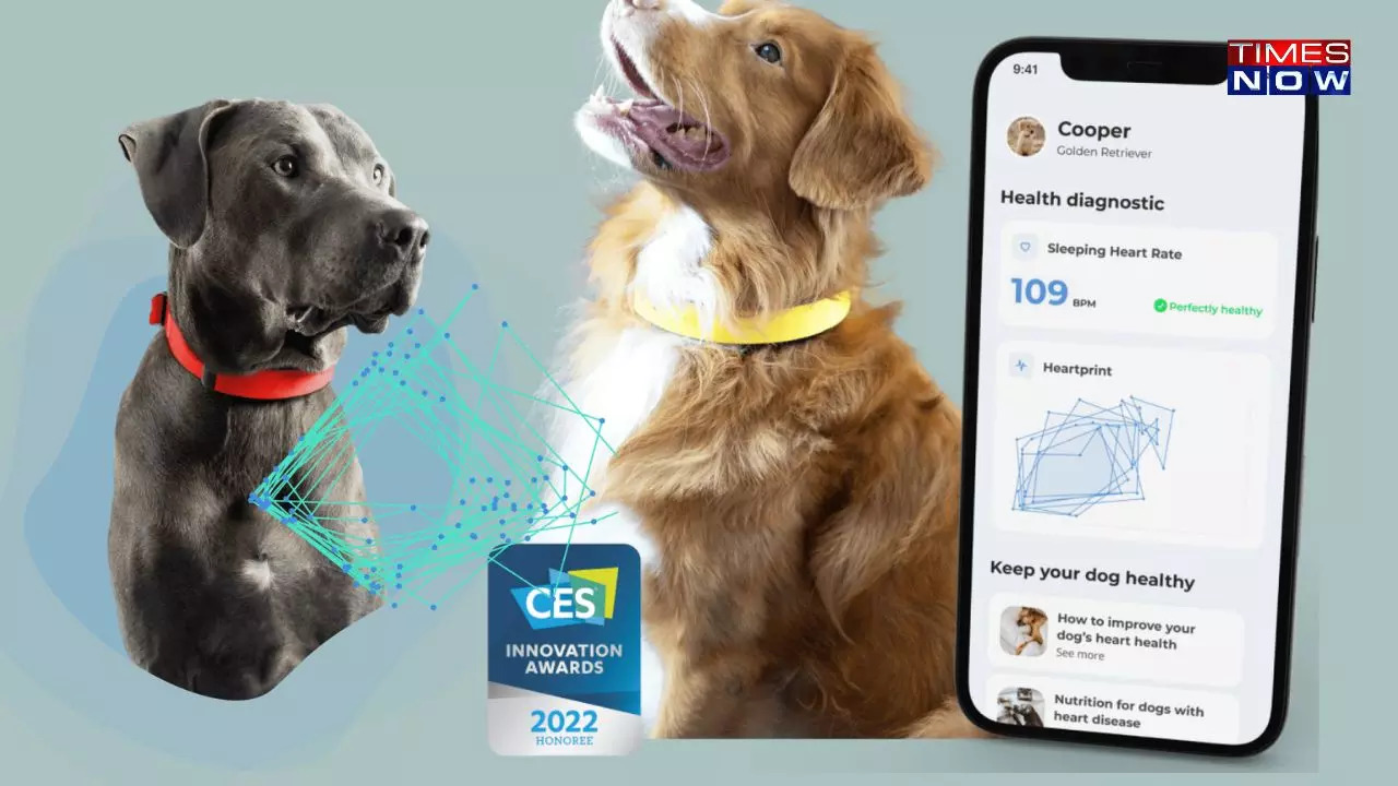 Invoxia unveils Smart Dog Collar with heart rate monitoring and AI technology at CES 2023