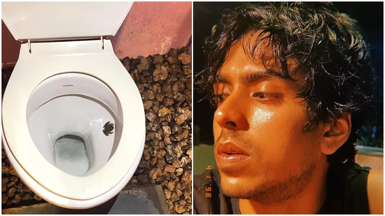 Adarsh Gourav spots frog in his toilet