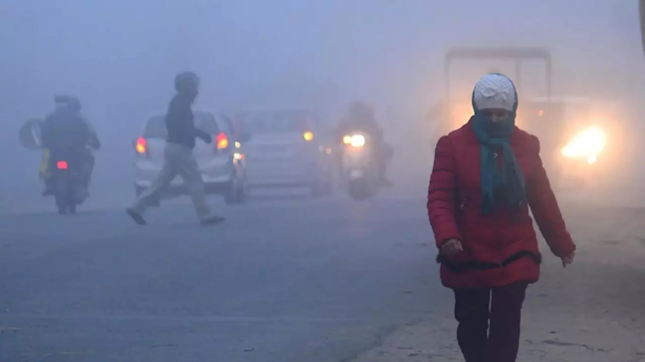 ​Weather today: Cold wave conditions in Delhi, UP