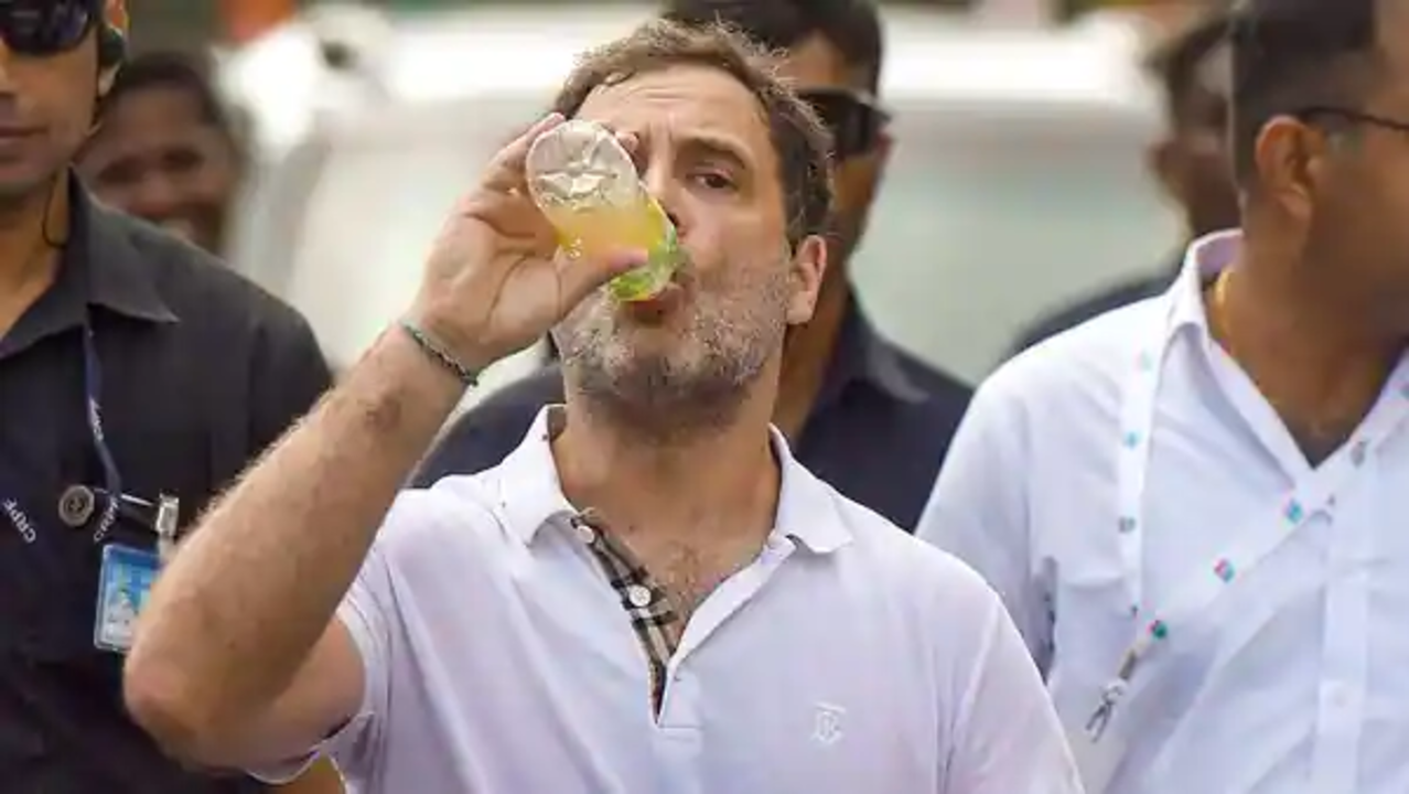 Rahul Gandhi T-Shirt Controversy: Company name, brand history, its origin, prices and more