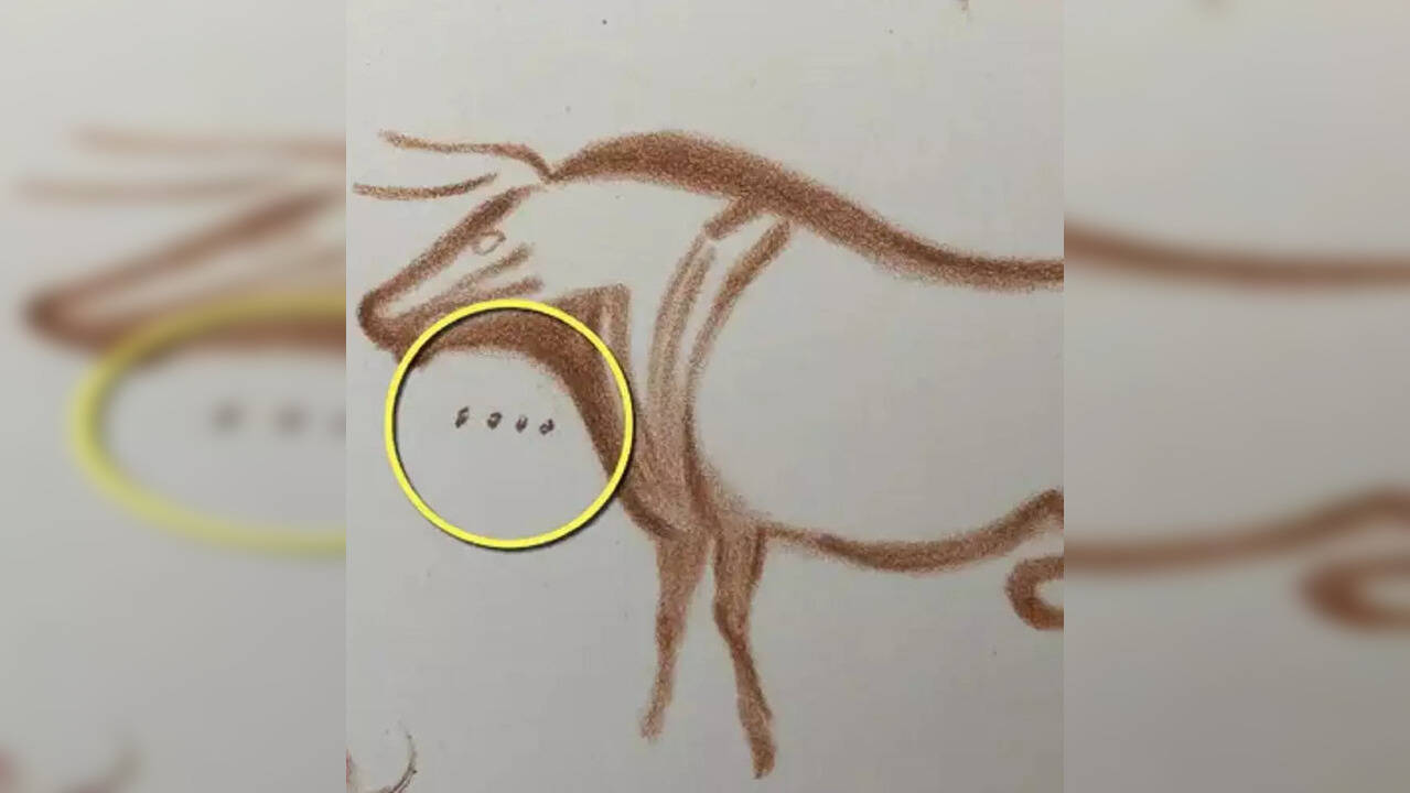 Furniture conservator helps solve 20,000yearold Ice Age drawing mystery