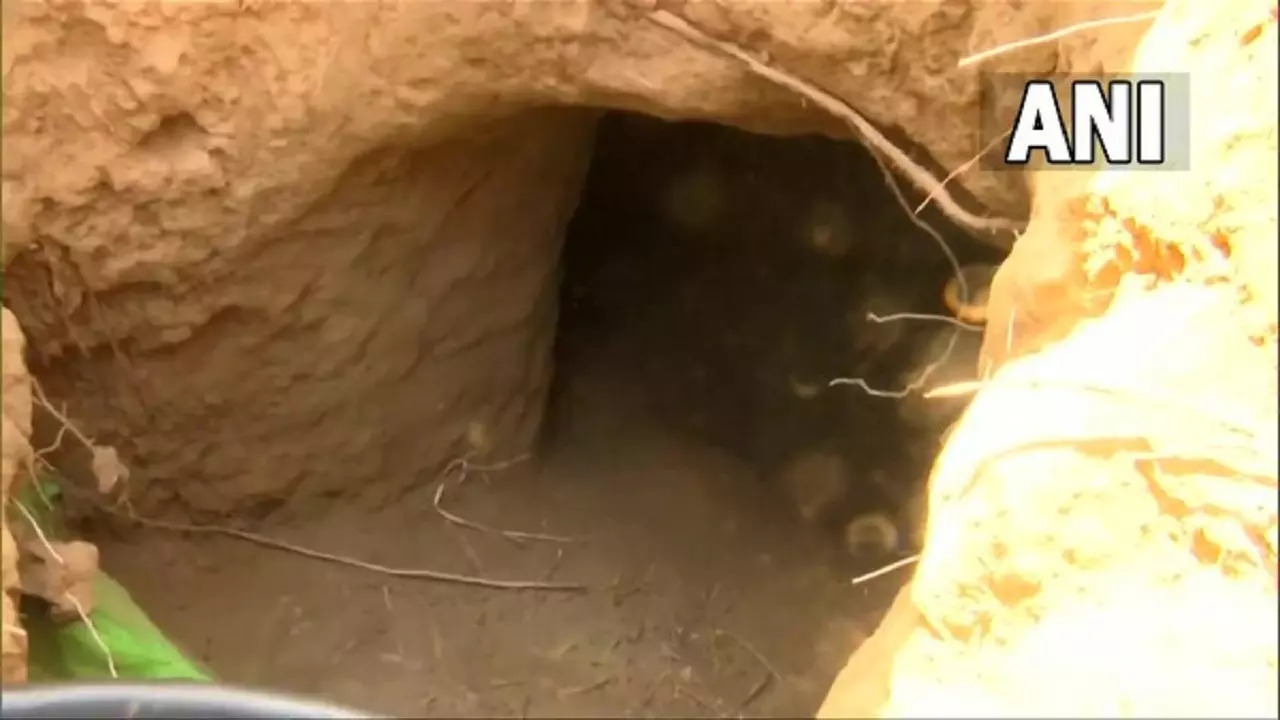 bsf tunnel ani