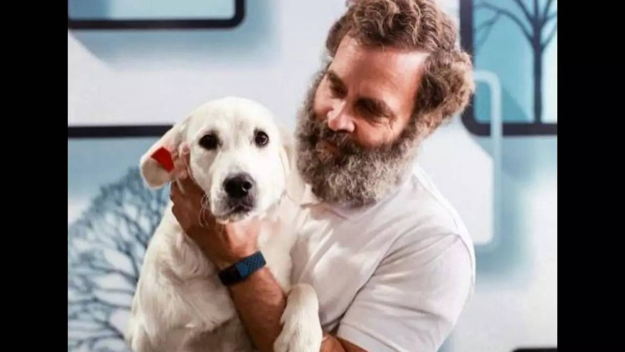 Rahul-gandhi-pet-dog-luna