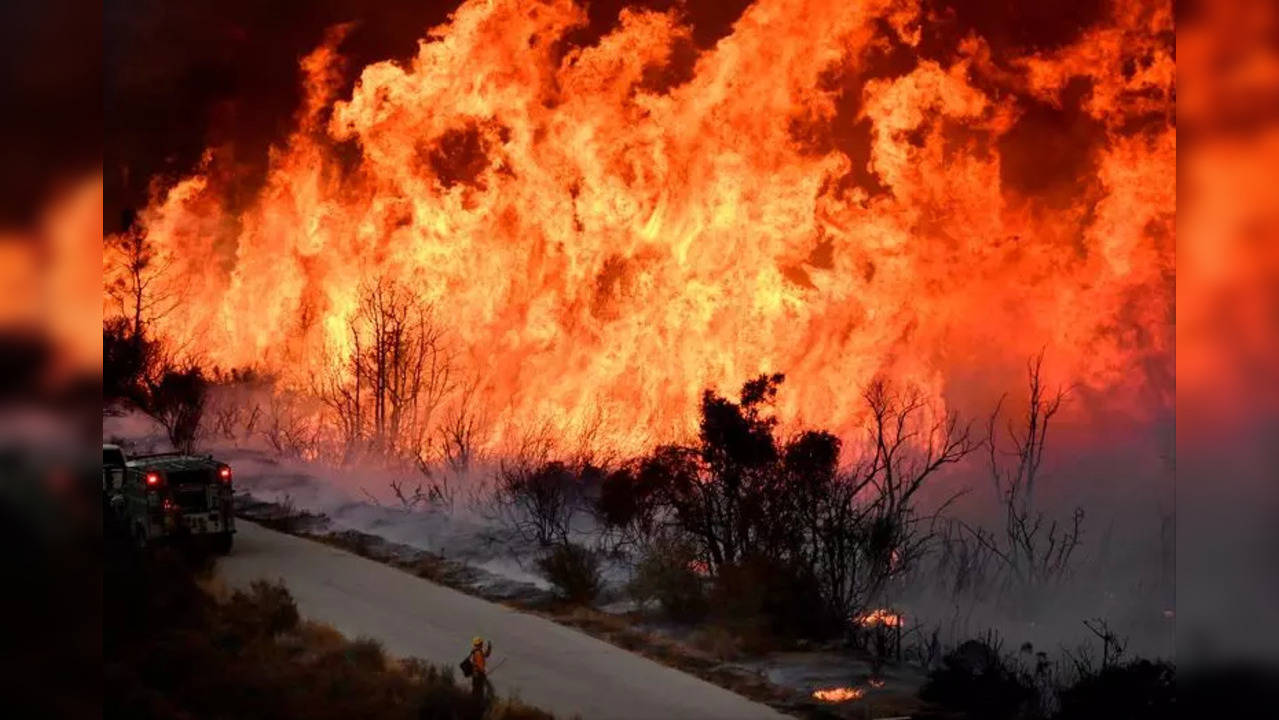 california fire reuters