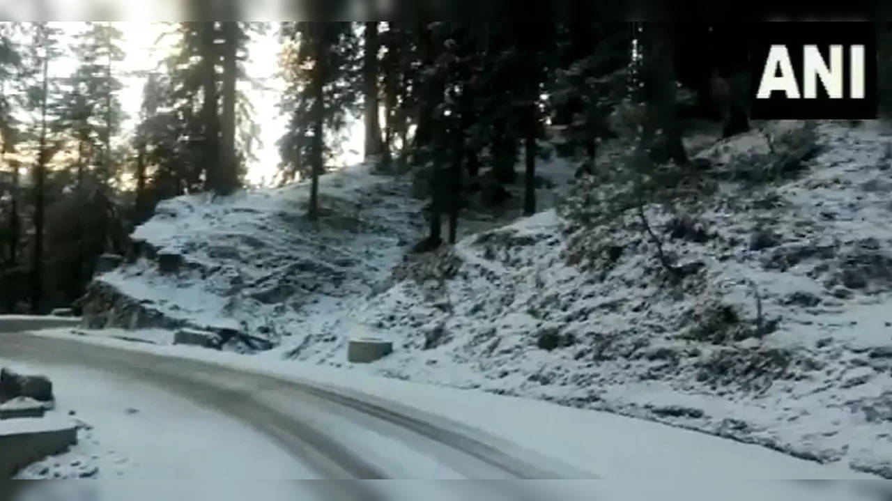 Snowfall in Shimla 2023 | Live Snowfall Shimla | Snowfall View of Shimla # shimla #travelevergreen - YouTube