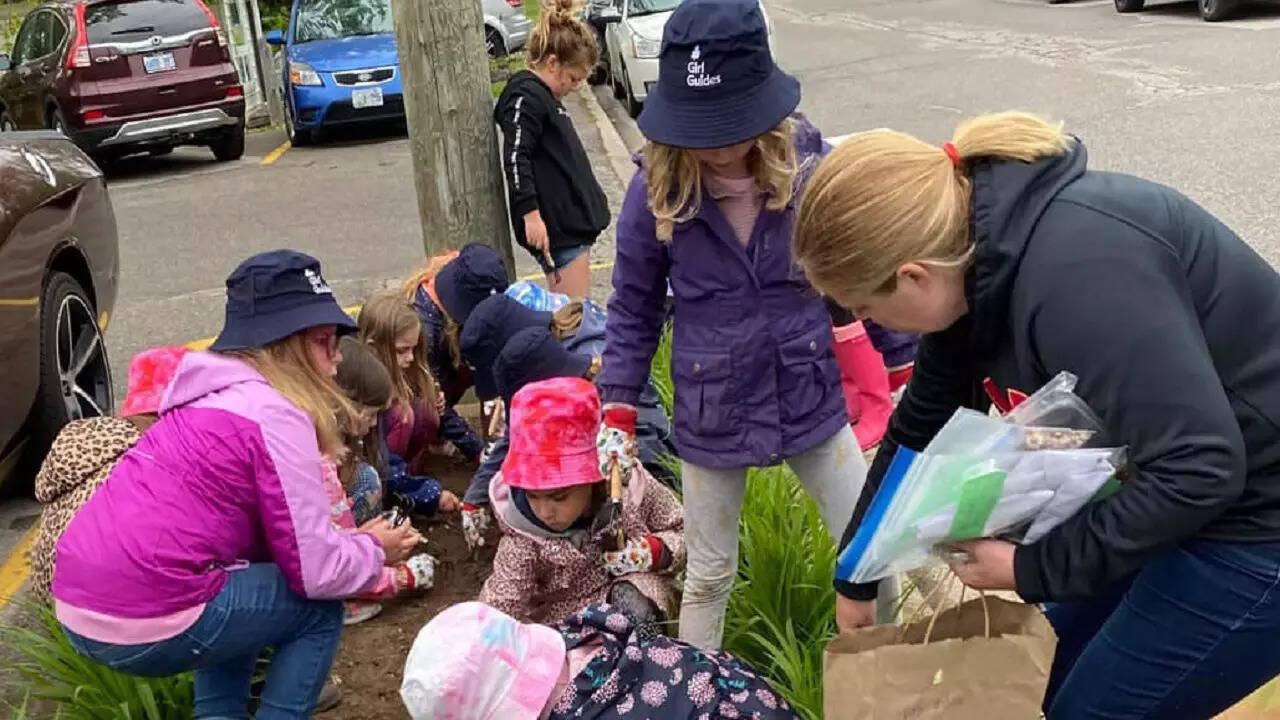 Canada Girl Guides drop "Brownies" branch due to underlying racist