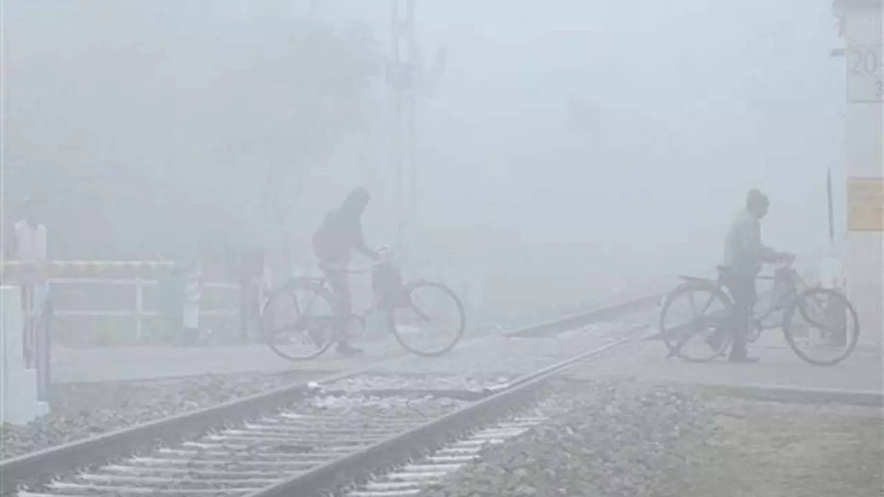 Weather forecast: Fresh spell of dense to very dense fog, cold wave conditions likely over northwest India till Jan 18