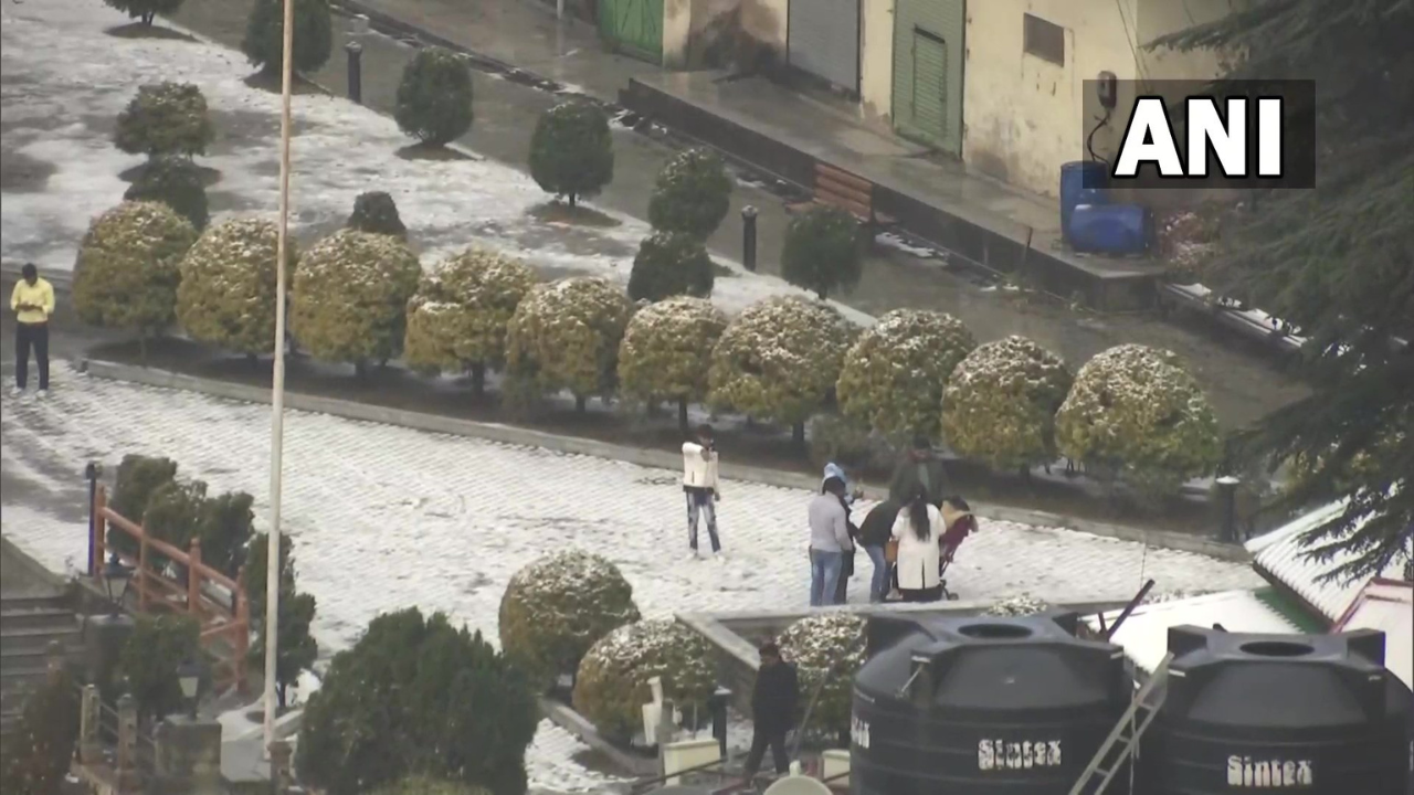 snowfall in Shimla