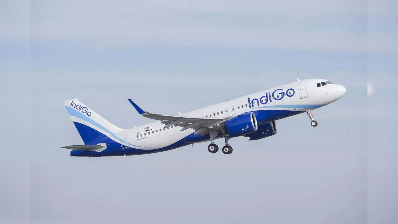 Indigo flight