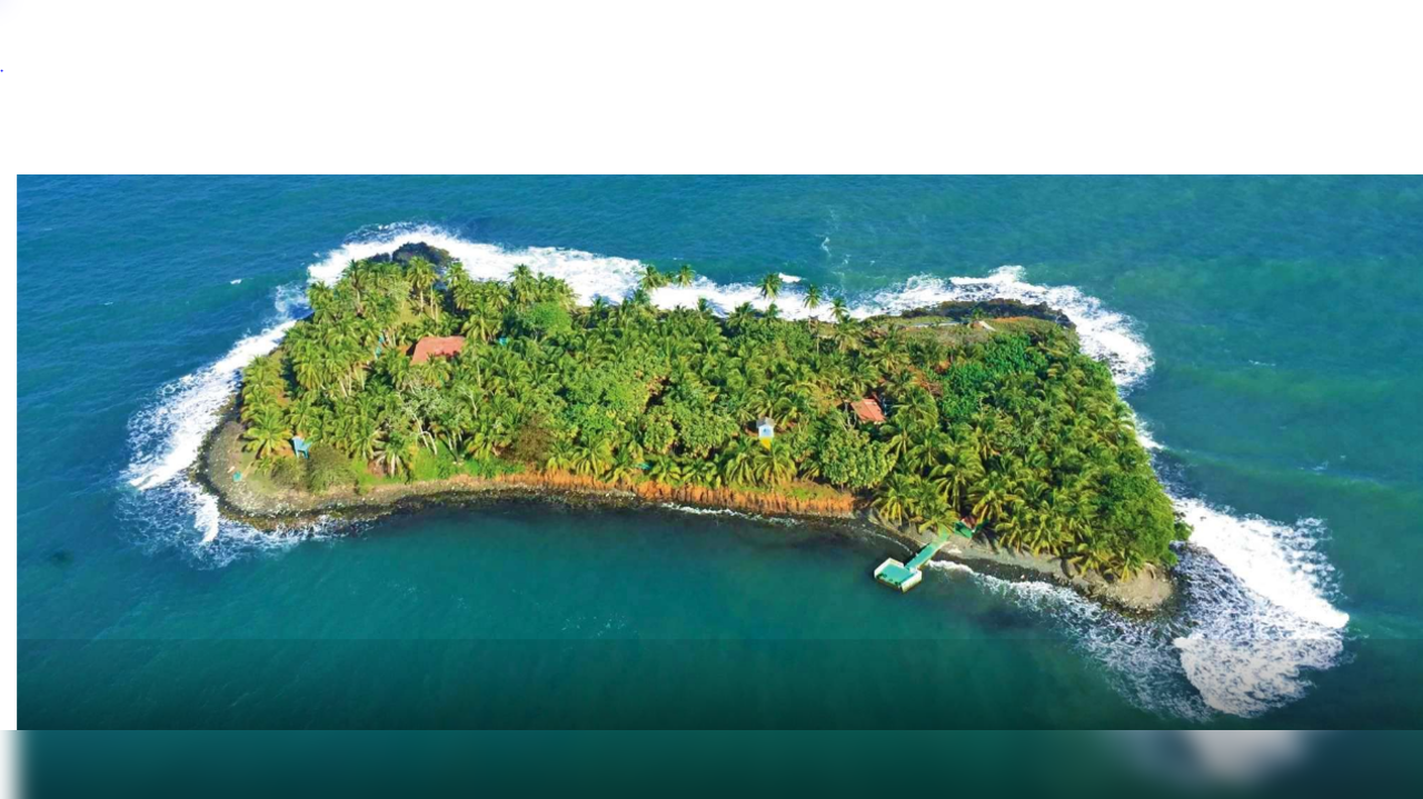 Island goes up for sale