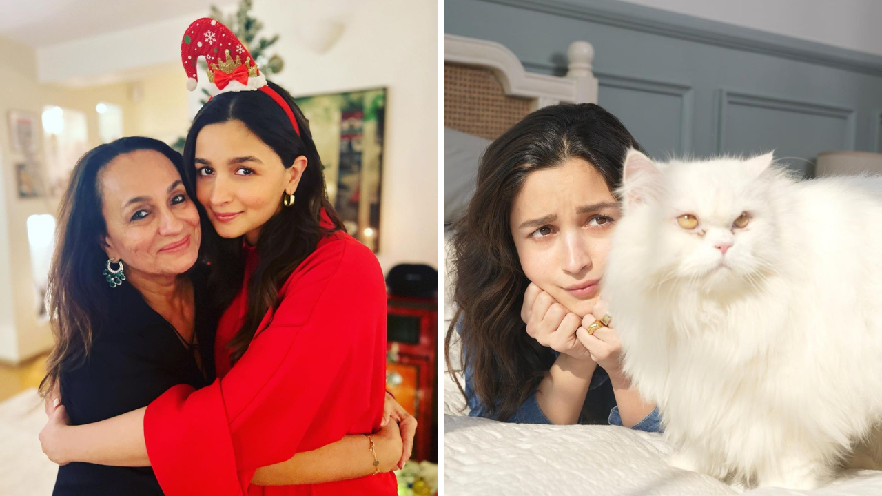 Alia Bhatt gets brutally ignored by her cat Edward