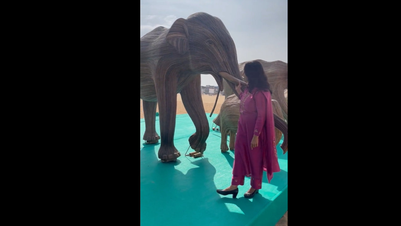 Lantana weed elephants at Chennai beach