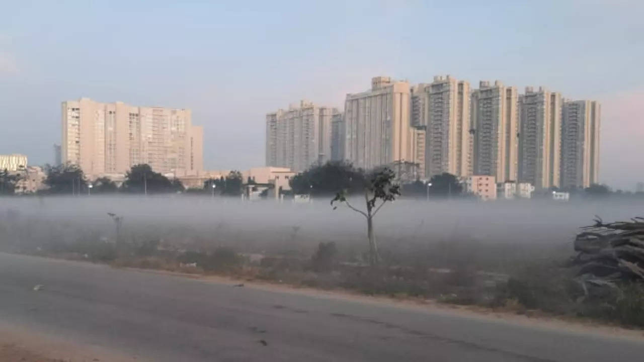 Fog covers Bengaluru on Monday, chilly weather to continue in IT city