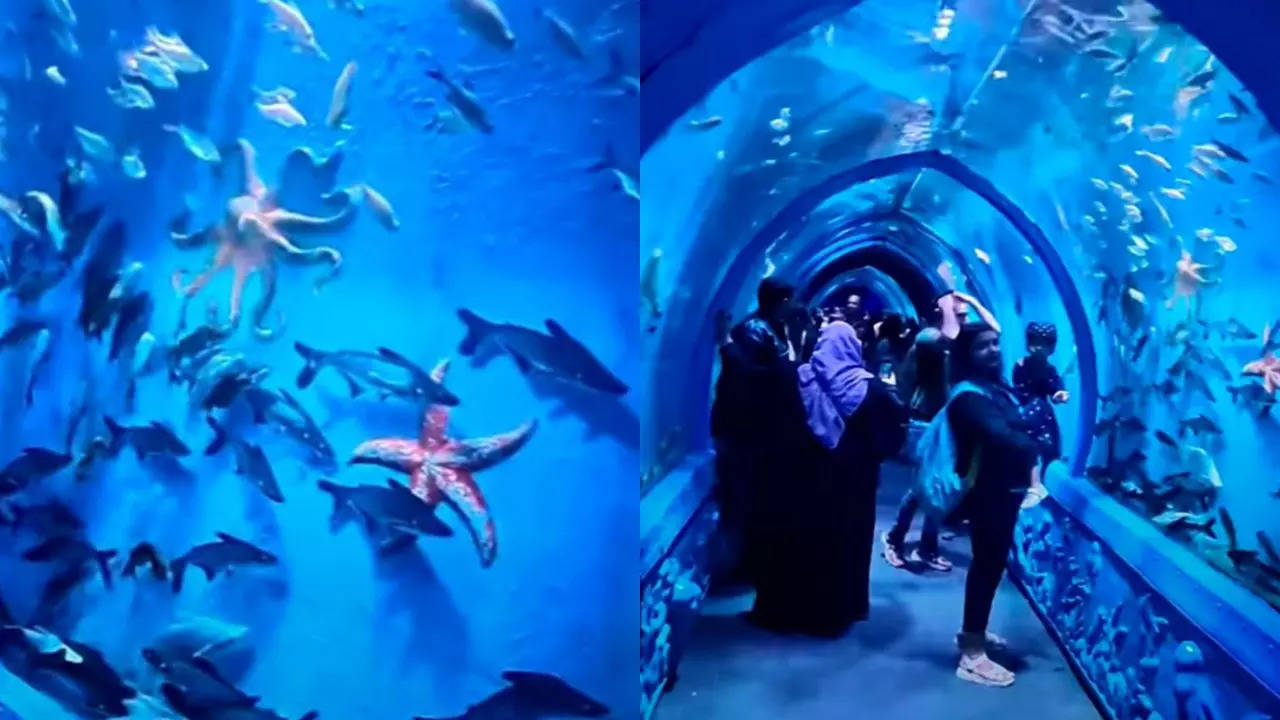 Bengaluru sea tunnel Aquarium