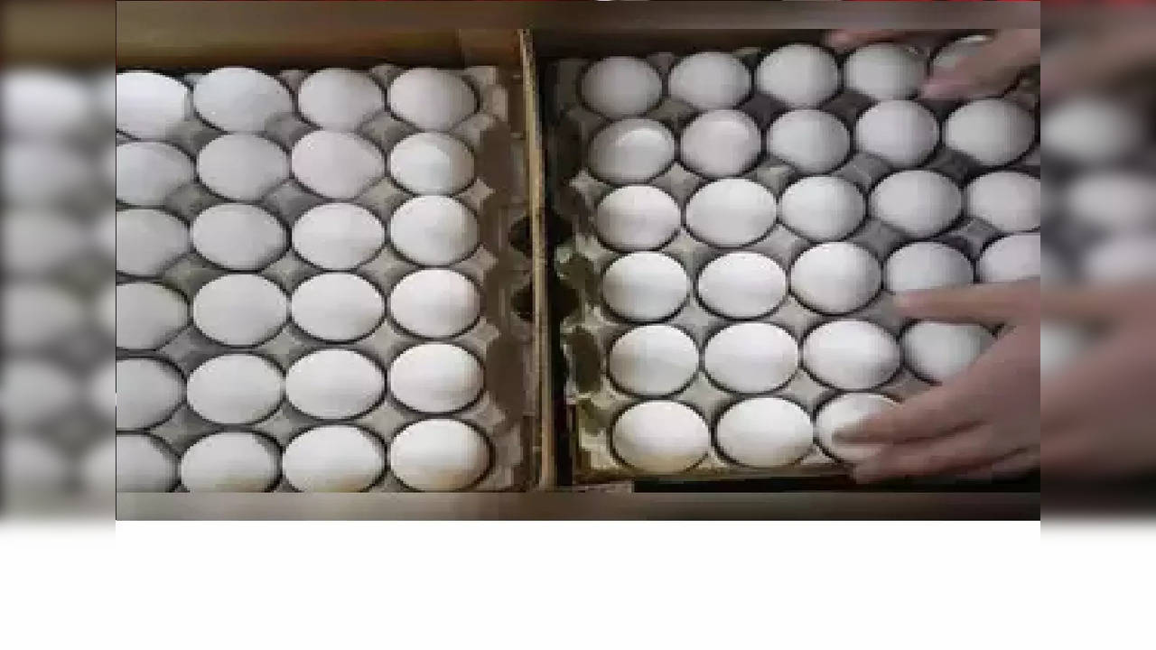 Egg shortage in Maharashtra: Here's how the state plans to resolve it