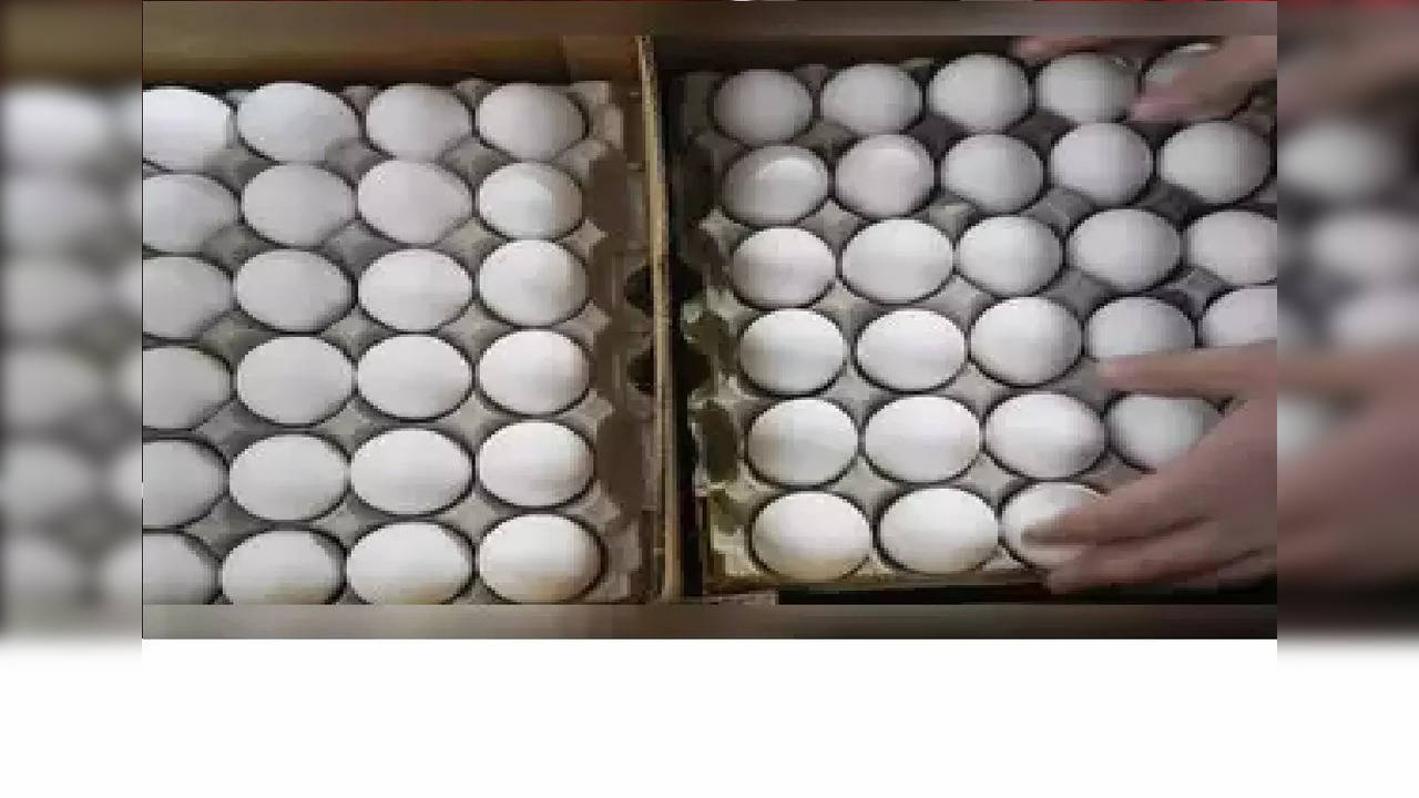 shortage of eggs