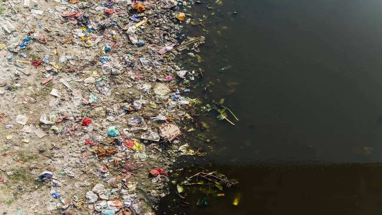 Chennai River pollution