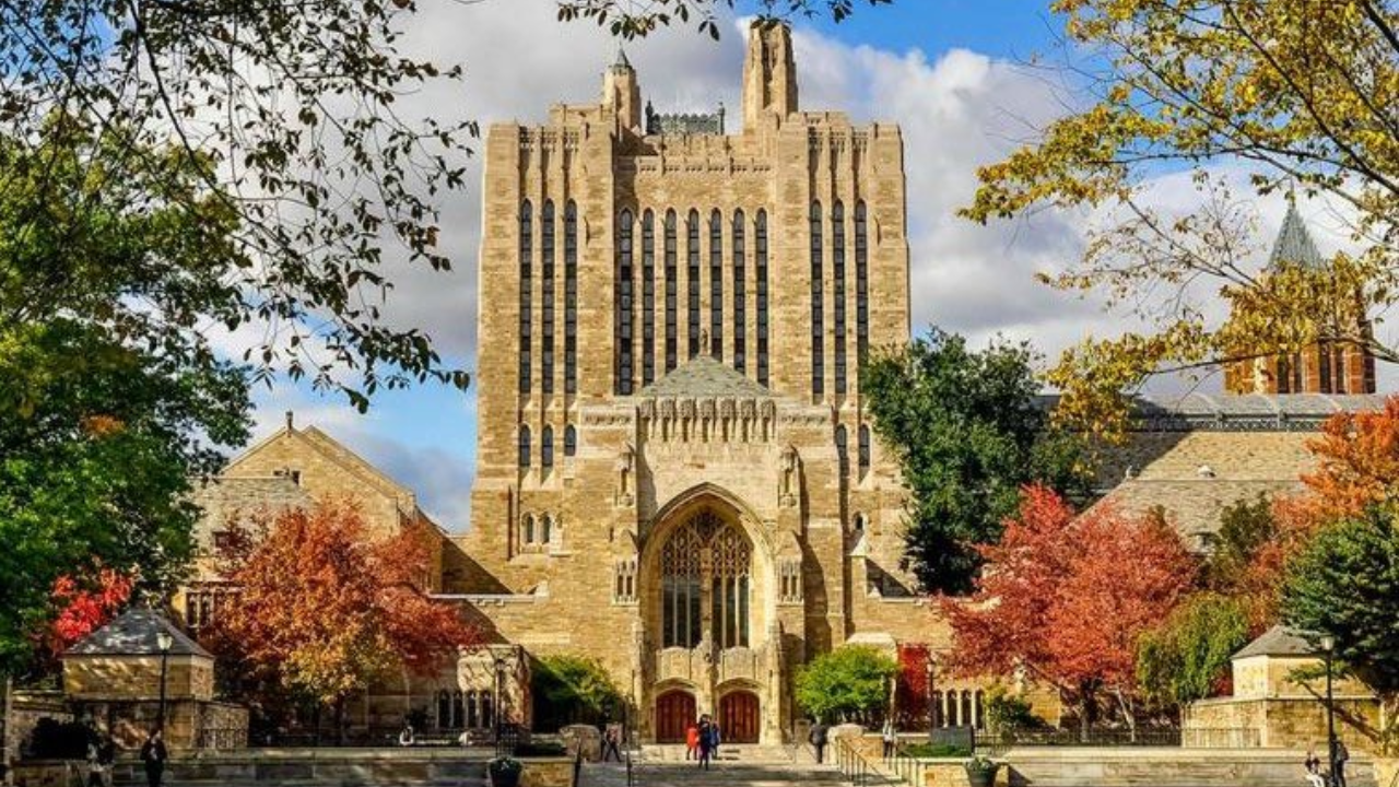 yale university