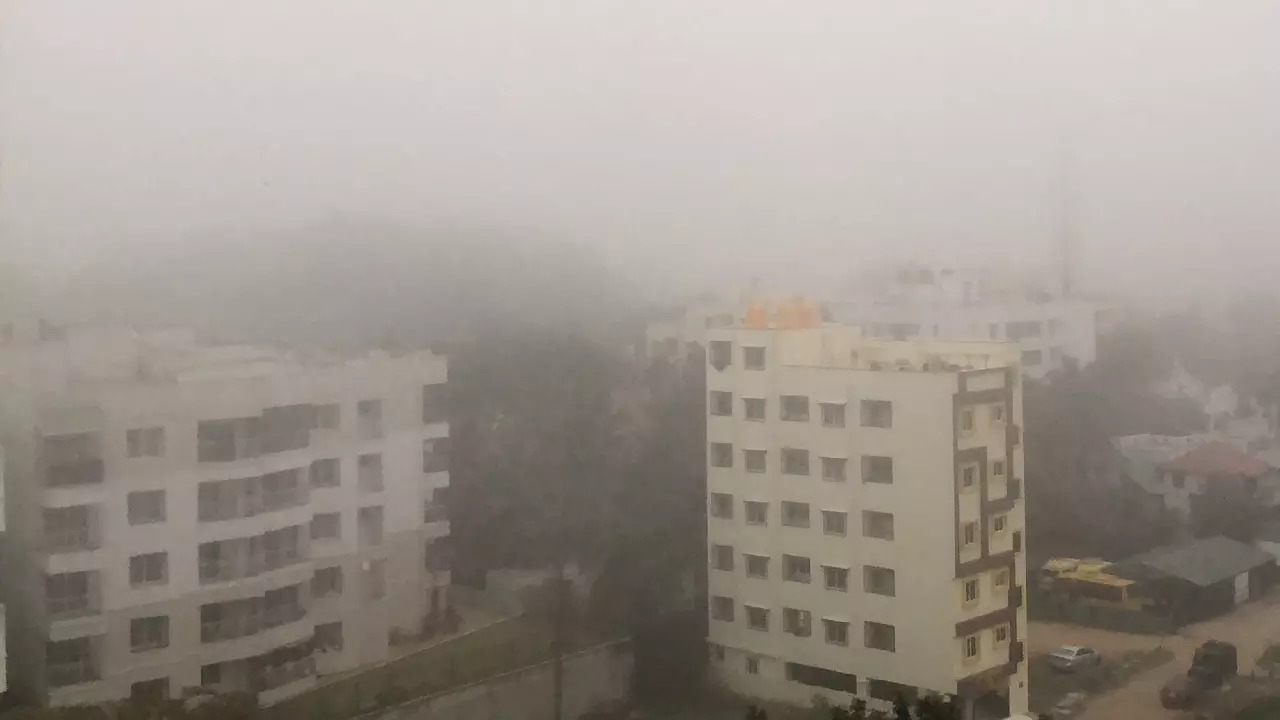 Fog covered Bengaluru on Sunday as well. | Photo: Twitter/avnihimani