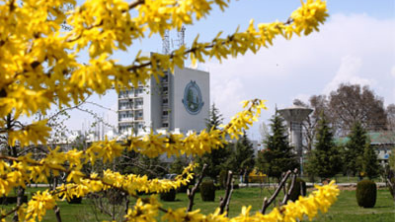 University of Kashmir