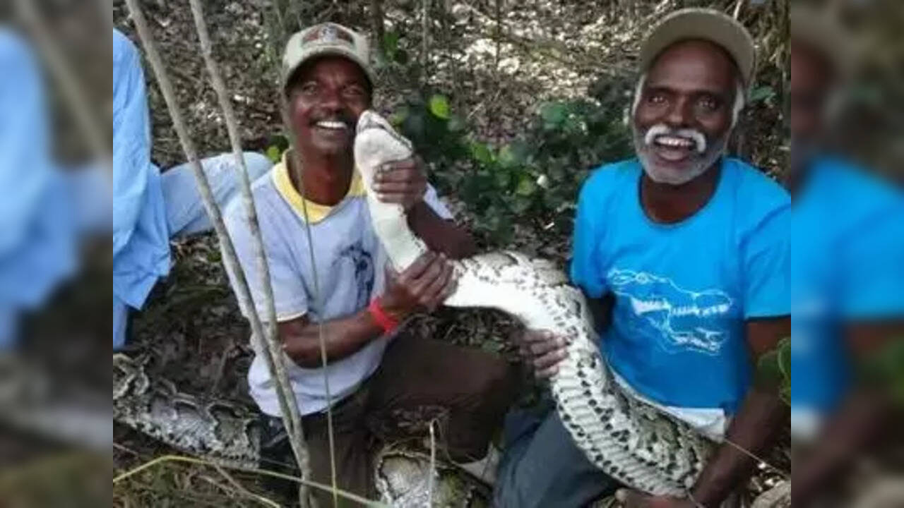 Snake catchers Vadivel Gopal, Masi Sadaiyan awarded Padma Shri India