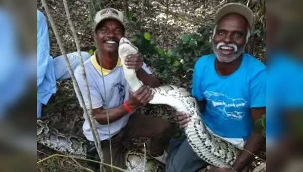 Snake catchers Vadivel Gopal, Masi Sadaiyan awarded Padma Shri | India ...