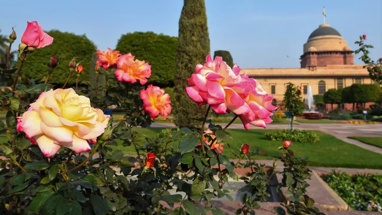 Mughal gardens opening time