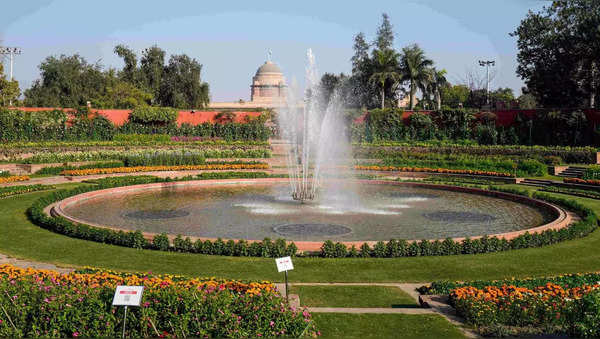 Mughal Gardens, now ‘Amrit Udyan’, opens to public on Jan 31: Find ...