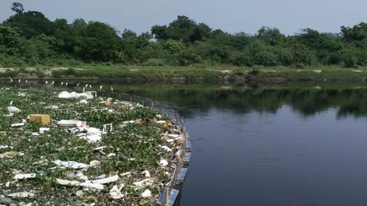 Cooum river | Photo: Twitter/ErikSolheim