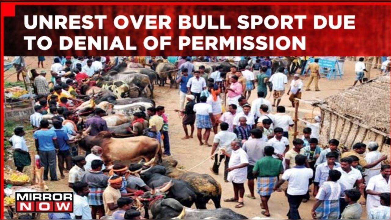 Tamil Nadu: Unrest Over Bull Sport Due To Denial Of Permission | Protesters  Pelt Stones | Ground Report