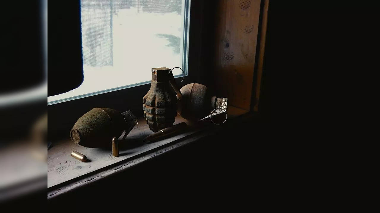 ​Man 'decorates house' with live grenades