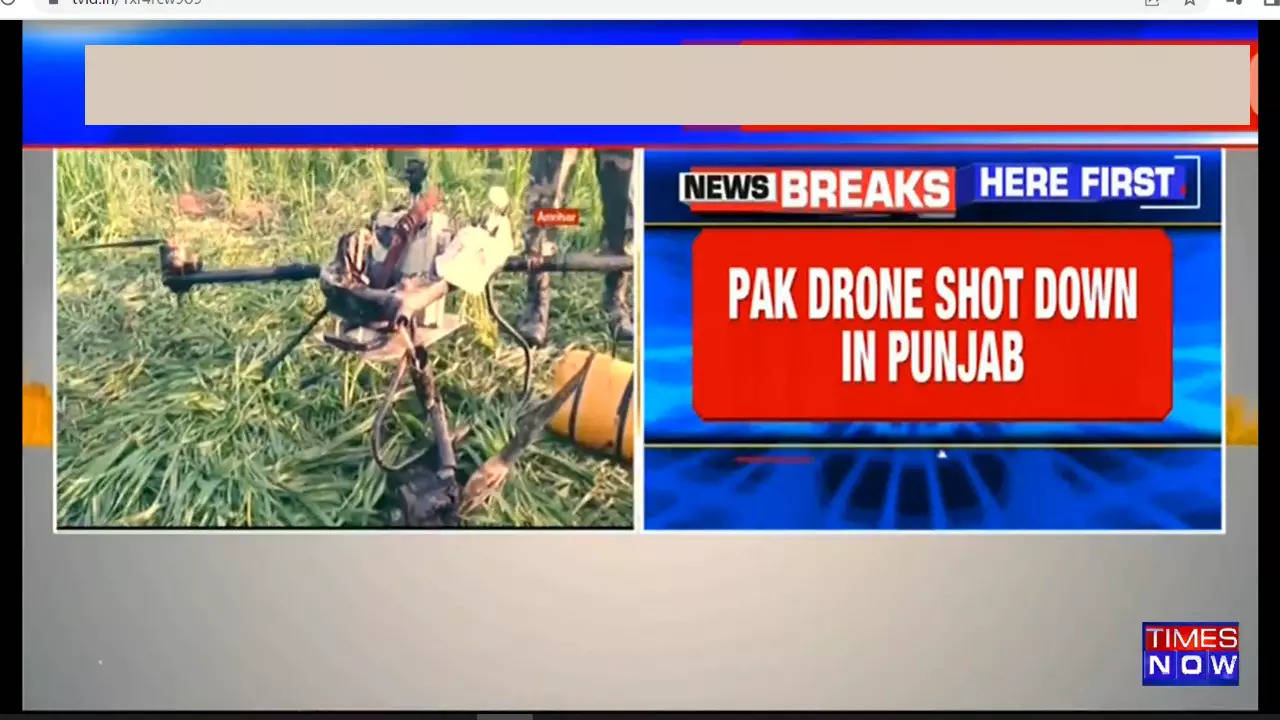 Punjab Pak drone BSF