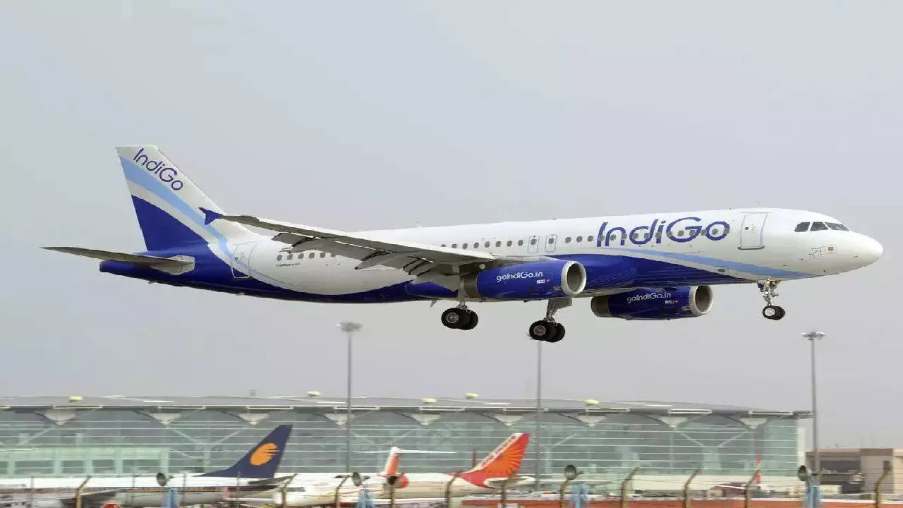 Indigo Airline