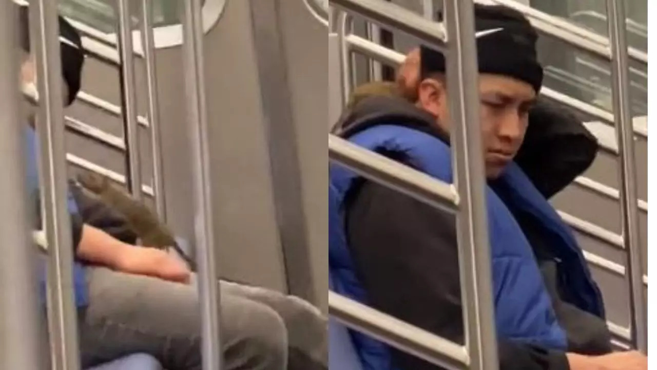 Rat-crawls-Napping-man-New-York-Subway