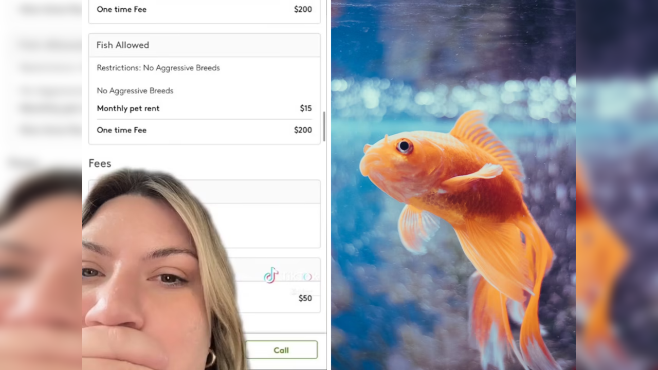 Renter says landlord charges her for having a goldfish