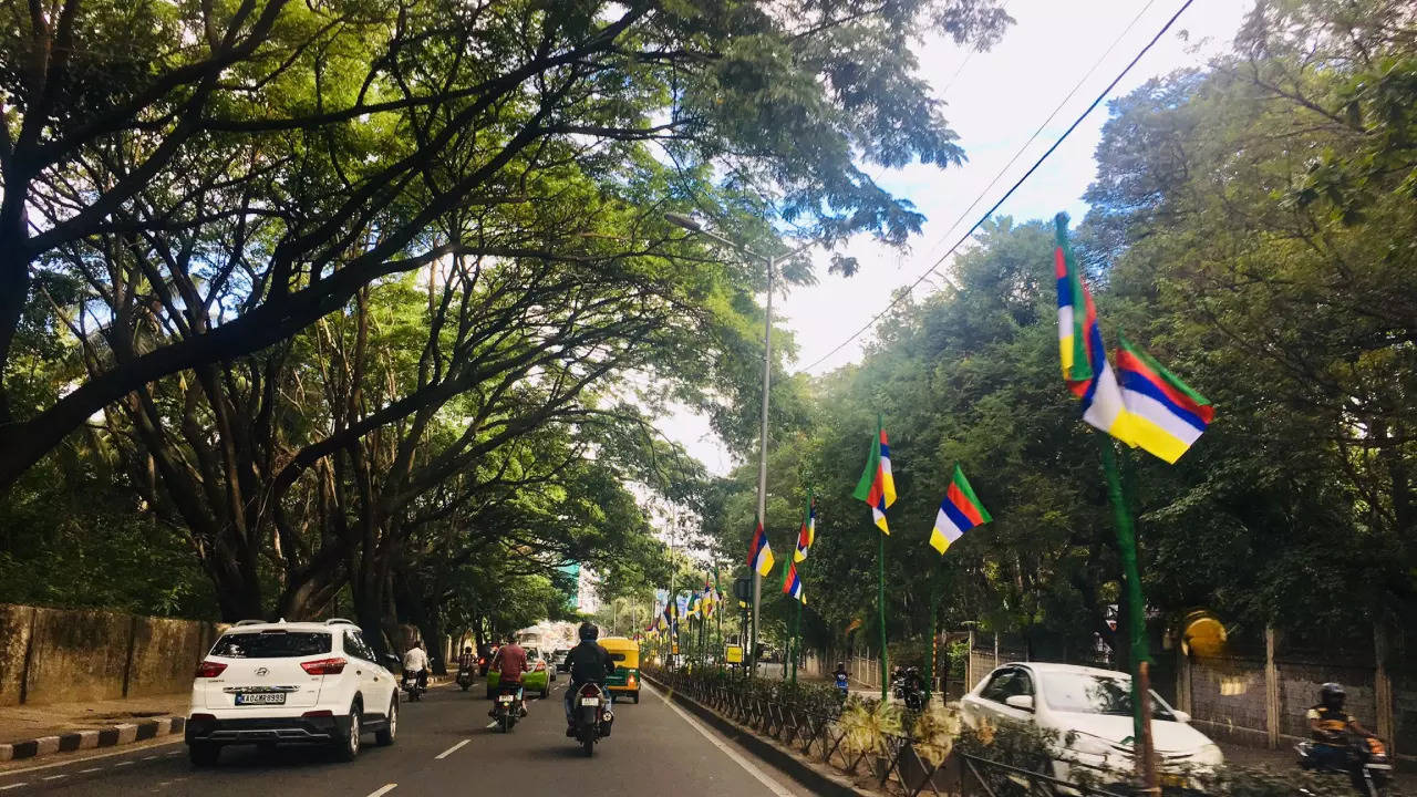 Sankey Tank Road | Photo: Twitter/ Parul Thakur